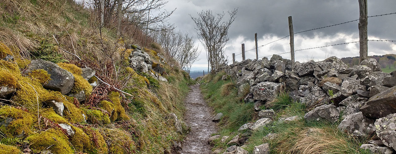 Sentier de randonnée lozériens en Automne