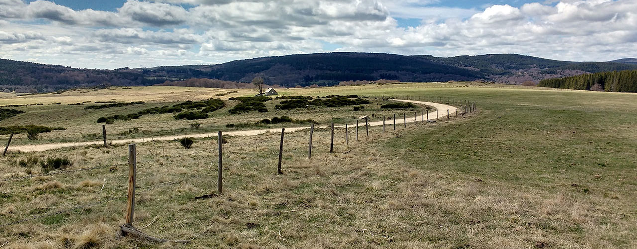 chemin en Lozère