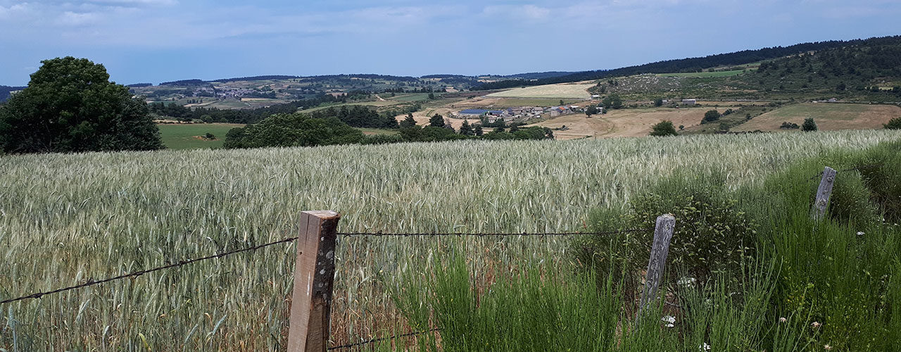 les champs lozériens