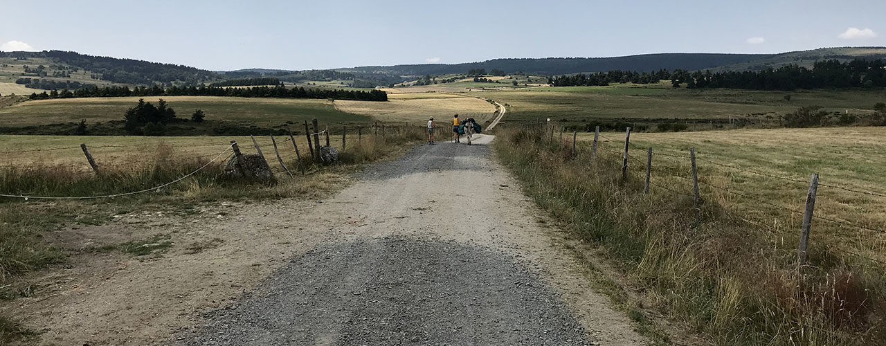 Chemin de randonnée avec un âne en Lozère