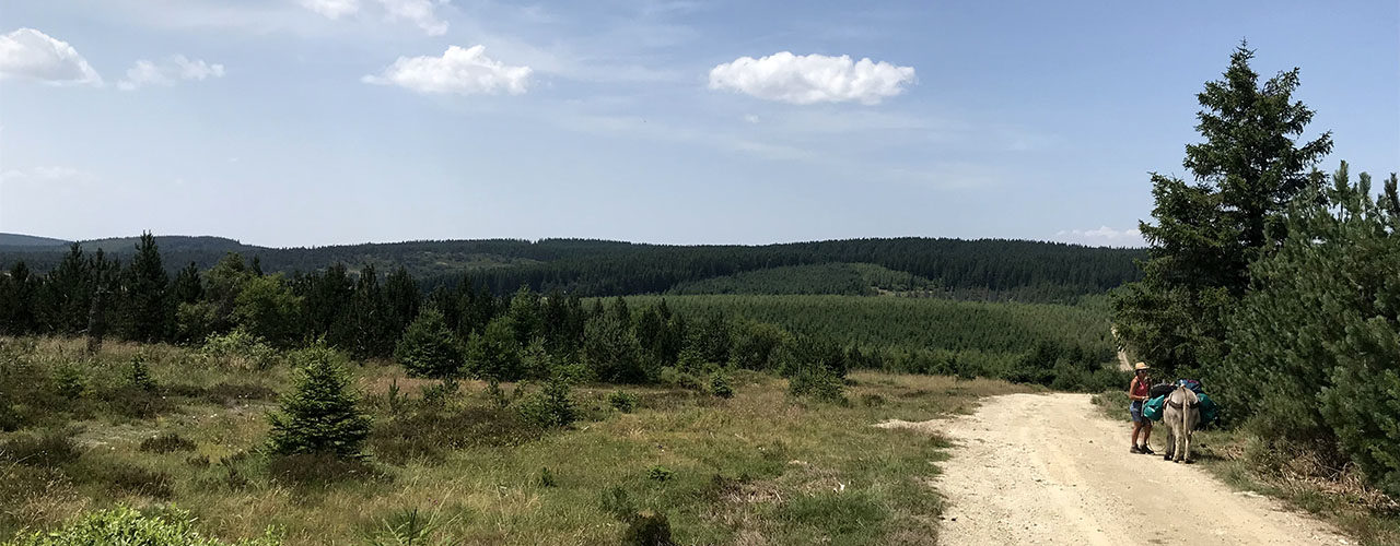 Randonnée en Lozère avec un âne