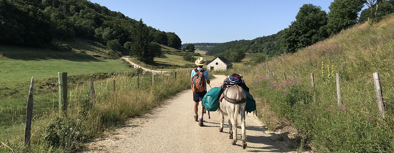 Randonnée en famille avec un âne