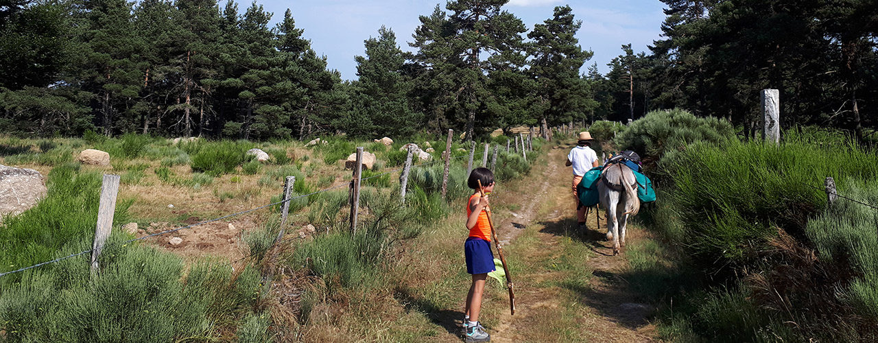 ballade avec des enfants et les ânes